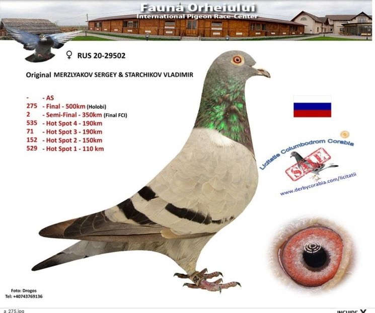 Screenshot_20201201-223431_Samsung Internet - 2020