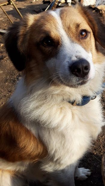  - RIP Athos