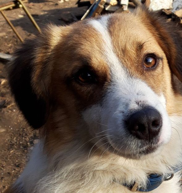  - RIP Athos
