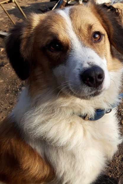  - RIP Athos