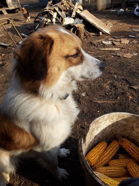  - RIP Athos