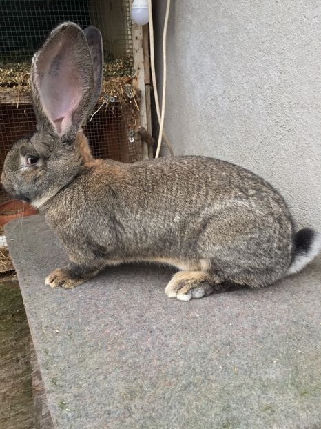 CA69FE70-DDF5-4E46-B8ED-7715F99D07B7 - RO 8-3055