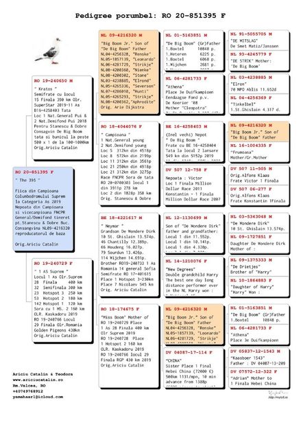 Ariciu-Catalin-RO-20-851395-pedigree - Paloma