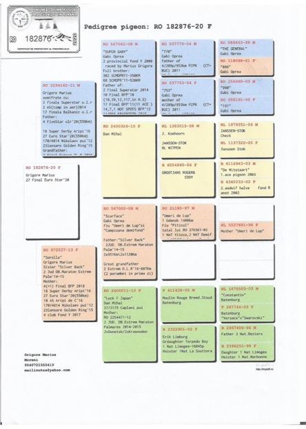 27-final-extrem-loft-team-a-romania-ro-182876-27-extrem-loft-team-a-romania-ro-182876-1 - Extrema