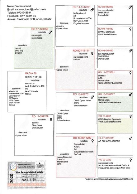 Columb-Brasov-RO-111138-2020-pedigree - Magia 38