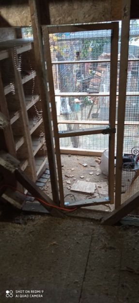  - DE PRIN PORUMBARIE