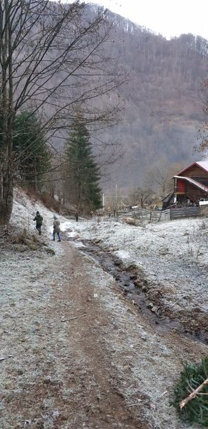 bf0f6ca4-3123-4b9e-a5ae-0435554ff165 - 2020 Maguri Răcătău 15-17 dec