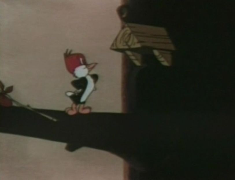 Looney Tunes - Looney Tunes Part 6