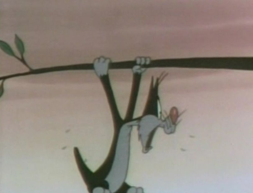 Looney Tunes - Looney Tunes Part 6