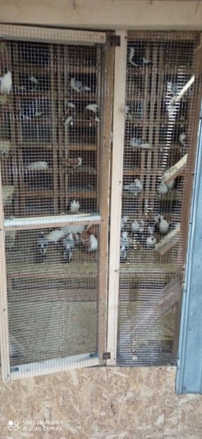  - DE PRIN PORUMBARIE