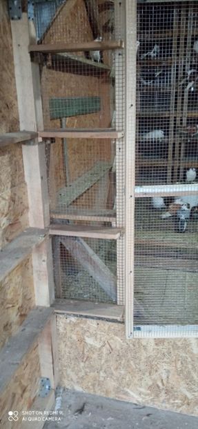  - DE PRIN PORUMBARIE