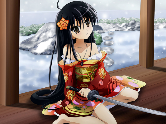 kimonoul lui raela