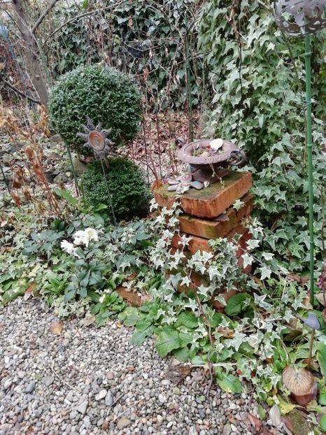  - Grădina 2020 continuare 2