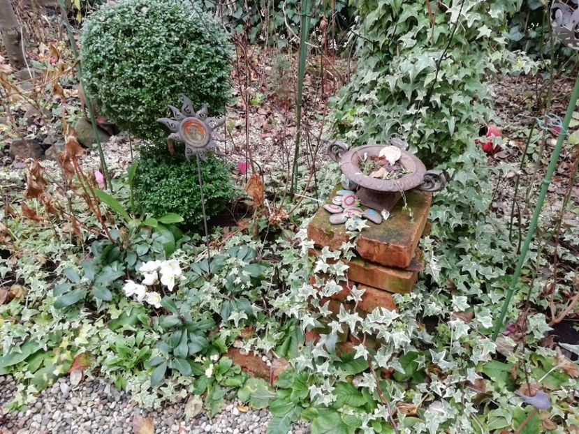  - Grădina 2020 continuare 2