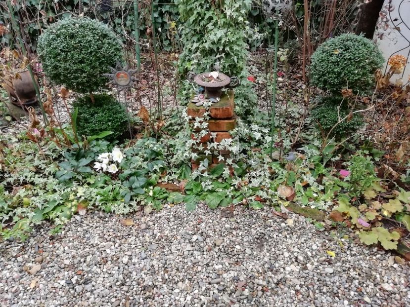  - Grădina 2020 continuare 2