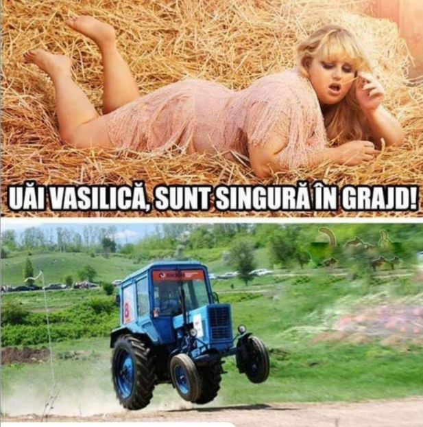 126834513_3765939850104751_264243765848004163_o - Bancuri cu Moldoveni