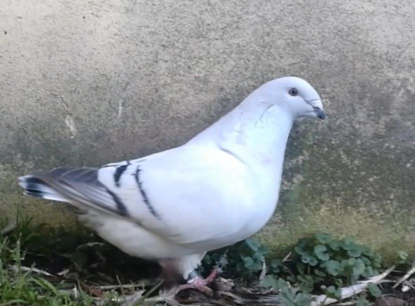 PL20-JRS 23 (F.) Archiwum - g- MLODE-2020 - Youth