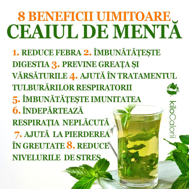 127036810_2802992056605772_1347502640547703684_o - Sfaturi Utile