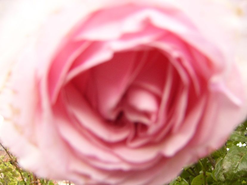 P1370511 - ANUL 2020 III