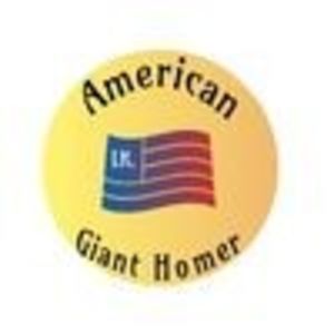 PERECHEA NR. 14 - PORUMBEI AGH PERECHI 2026