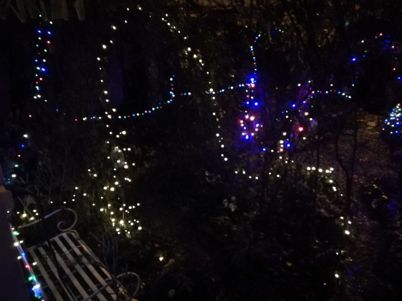 22.12.2020 - Grădina 2020 continuare 2