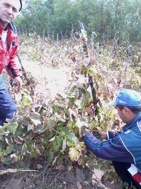 Nelu Boros - Otelul Galati Istorie Part 1