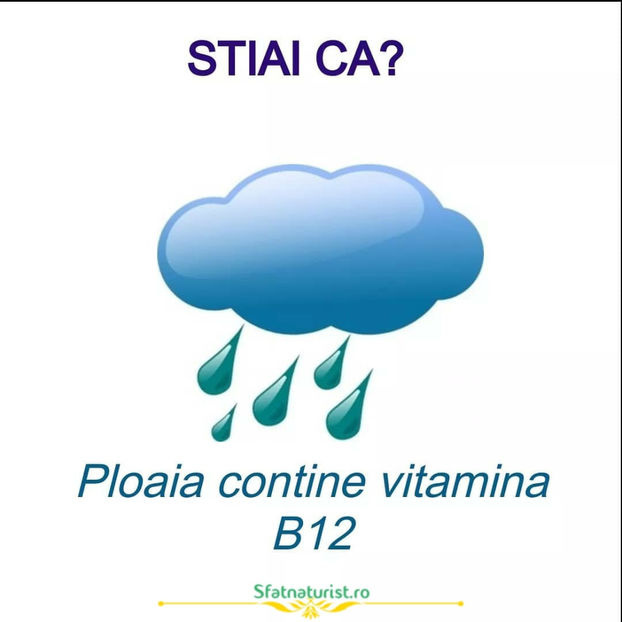 127500378_1811428295689773_800552203877431548_o - Sfaturi Utile