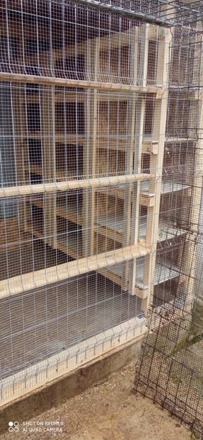  - DE PRIN PORUMBARIE