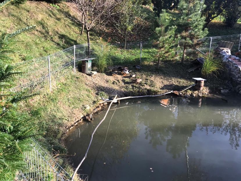 7E89E18F-A7E7-432D-9175-E3F579AD3D70 - Rate si Gaste