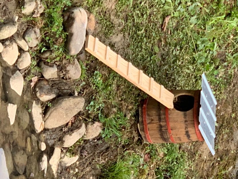 71BE2115-83D3-4140-9BFD-48DFC3AC0608 - Rate si Gaste