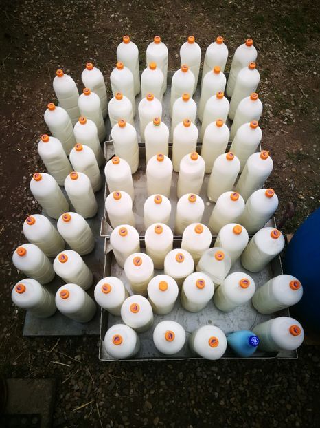  - 4 - BRÂNZĂ DE CAPRA