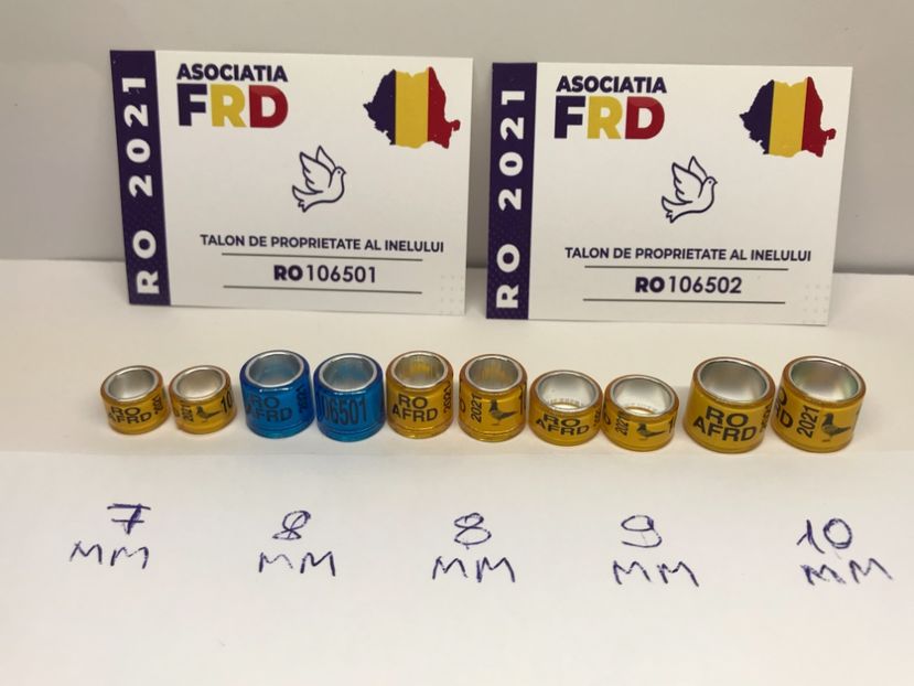 61D9E098-19C5-4BBB-8192-8DC072504900 - Inele Asociatie AFRD cu talon 2021