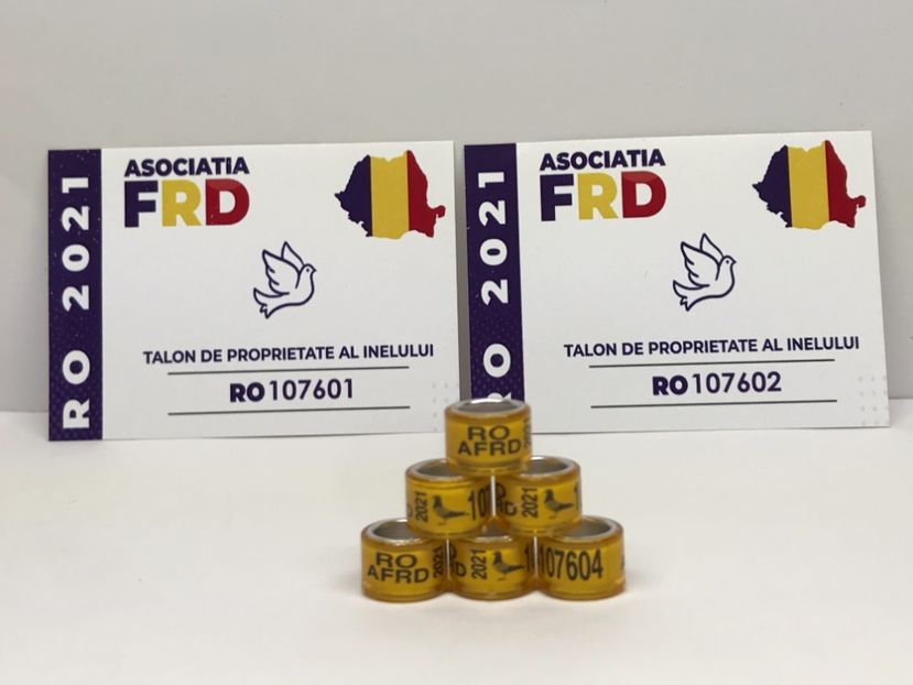 8DA2D5FD-DD64-4964-9455-8DCC08DC41BD - Inele Asociatie AFRD cu talon 2021