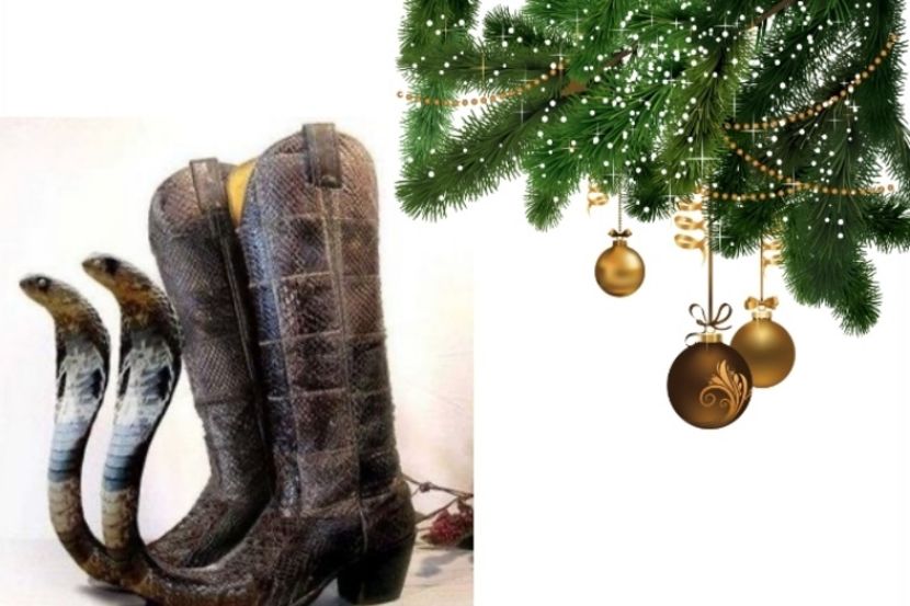 to Harry, from Bella: this unique pair of *snake* boots as a subliminal message. - Secret Santa is coming to town