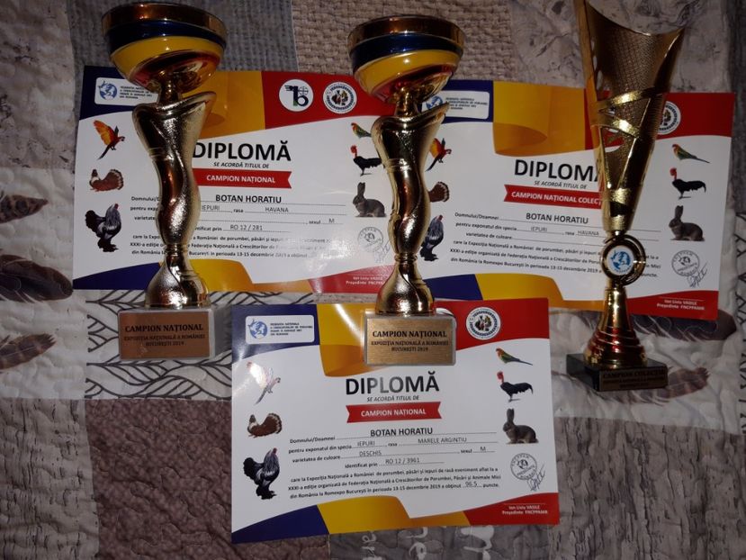2 camp national individual si 1 cam nat colectie - Expo NAT Bucuresti dec 2019