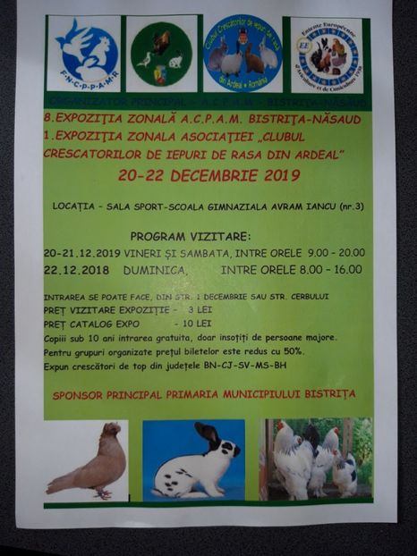  - Expo dec Bistrita 2019