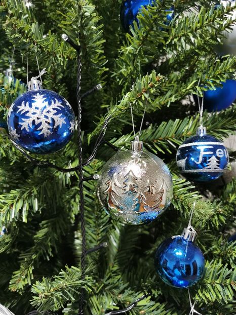  - 2020-2021 SARBATORI