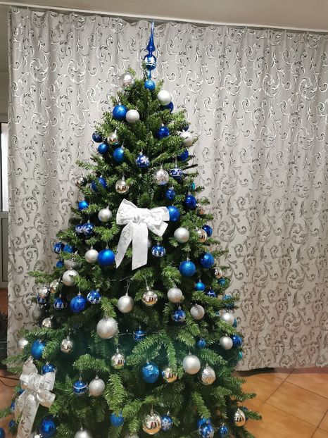  - 2020-2021 SARBATORI