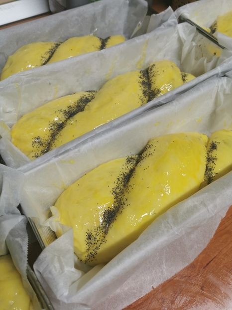  - 2020-2021 SARBATORI