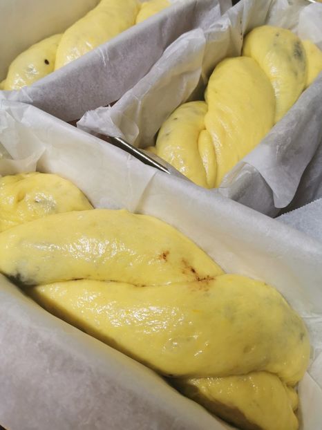  - 2020-2021 SARBATORI