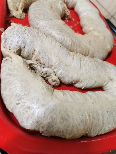  - 2020-2021 SARBATORI