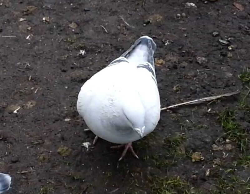 PL20-JRS 26 - g- MLODE-2020 - Youth