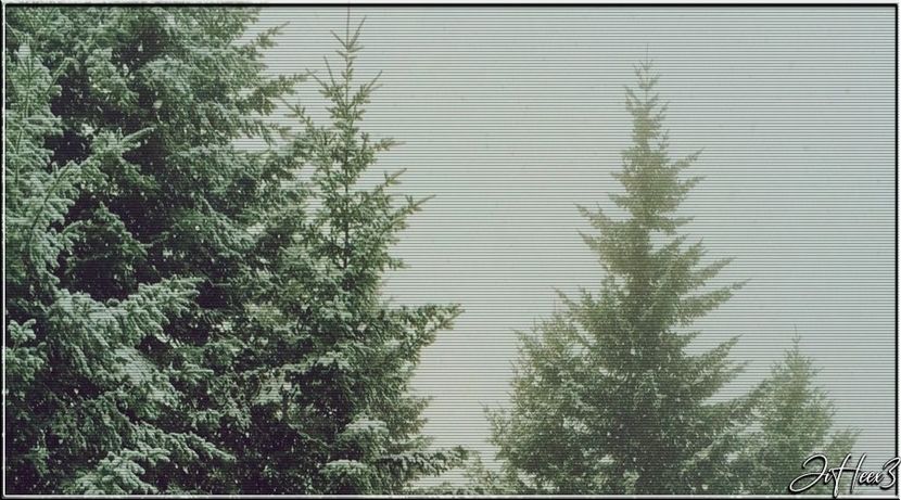 └ Dᴀʏ 136 ○ 25.12.2020 → 「메리 크리스마스!」 ✓ - dreambigwhenyoucanandenjoyit