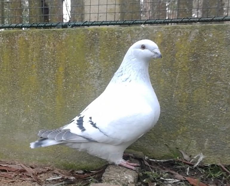 PL20-JRS 48 (F.) Archiwum - g- MLODE-2020 - Youth