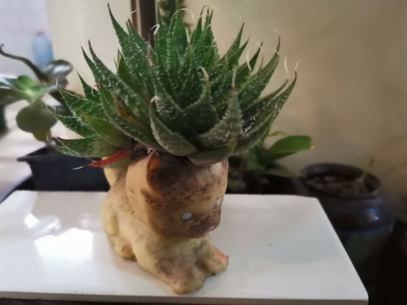  - Plantele de la Epurare 2020