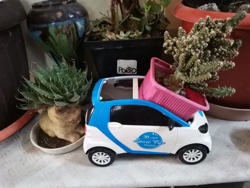  - Plantele de la Epurare 2020