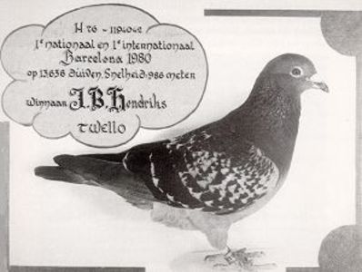 1 int Barcelona 1980 J. Hendrix - Barcelona internațional