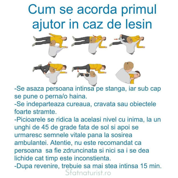 129249476_1818415191657750_3609273732149941084_o - Sfaturi Utile