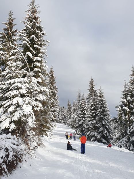 06ef46a8-35d1-4d30-85bc-04756507cdfb - 2020 BUSCAT BAIȘOARA 27 dec