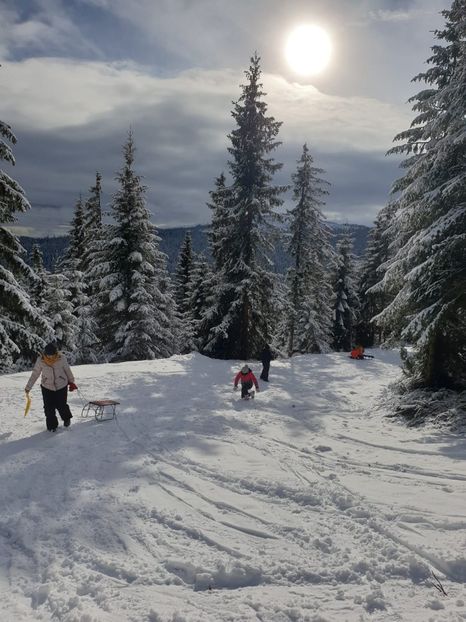 8ae99ae4-7ea2-4dc7-b5be-4c0b95b047fd - 2020 BUSCAT BAIȘOARA 27 dec